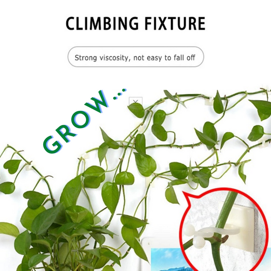 30 Pcs 3 in 1 Plant Climbing Clip | Cable Clip | Hanging Clip All Purpose | use in Garden, Home, Office